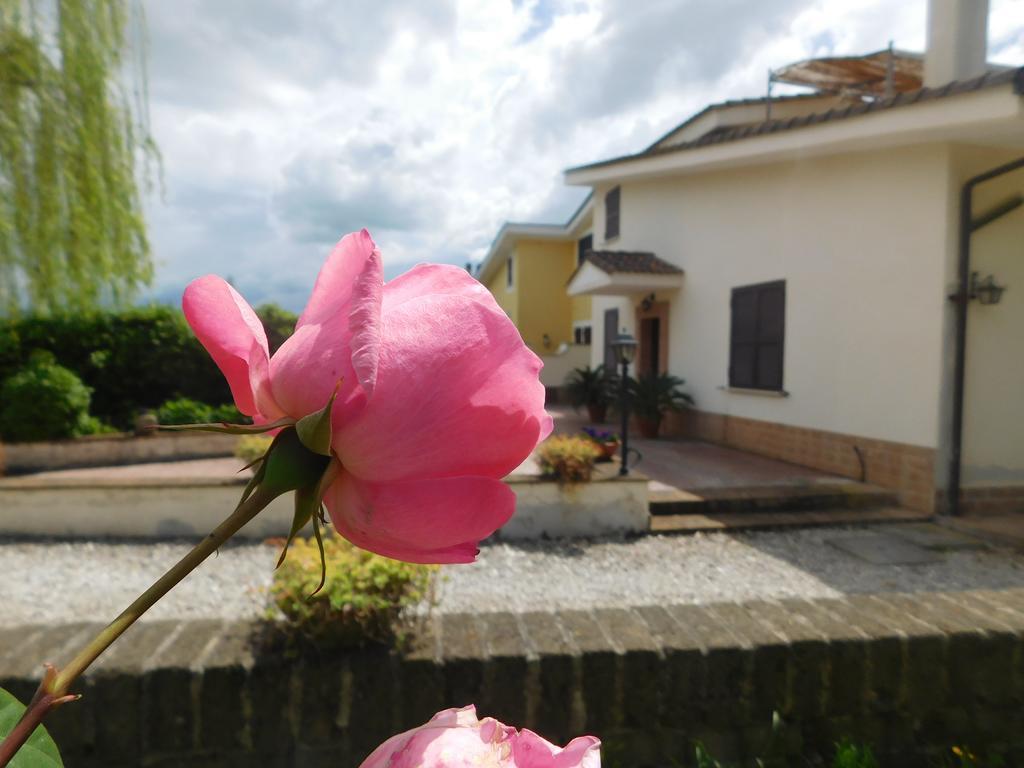 フィアーノ・ロマーノ L'Albero Del Pepe Bed & Breakfast エクステリア 写真